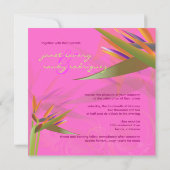 PixDezines BIRD van PARADISE/DIY Background Color Kaart (Achterkant)