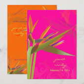 PixDezines BIRD van PARADISE/DIY Background Color Kaart (Voorkant / Achterkant)