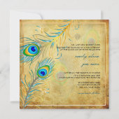 PixDezines  Blauwgroen Peacock/Faux Parchment Kaart (Achterkant)