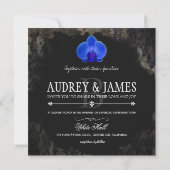 PixDezines blue orchid/grunge black damask Kaart (Achterkant)