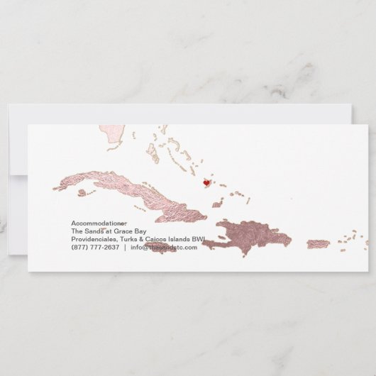 PixDezines Boarding Pass Opslagdatum, Caraïbische  Kaart (Achterkant)