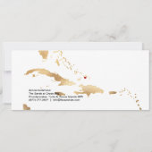 PixDezines Boarding Pass Opslagdatum, Caraïbische Kaart (Achterkant)