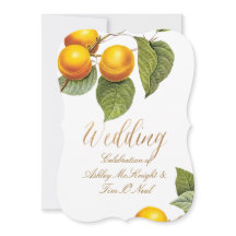 PixDezines Boomgaard/Perziken/Redoute