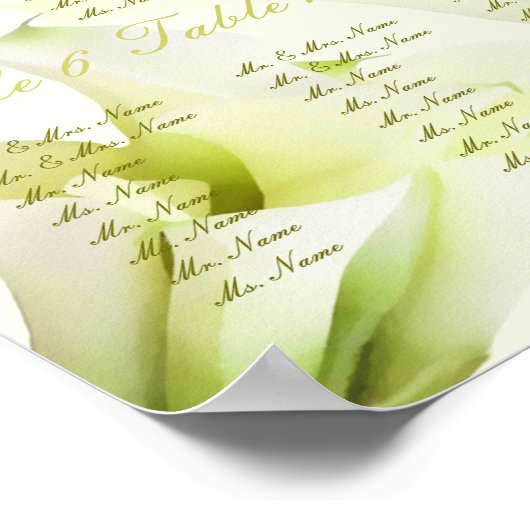 PixDezines bouquet, witte calla lilies Poster (Hoek)