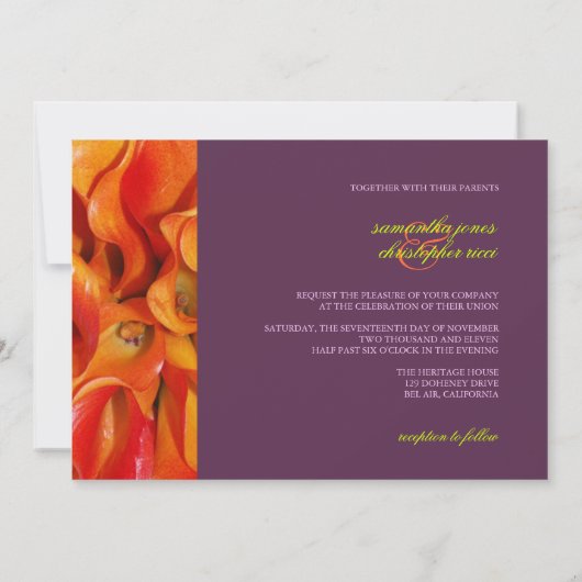 PixDezines BURNT ORANJE CALLA LIES/DIY BCKGRND Kaart (Achterkant)