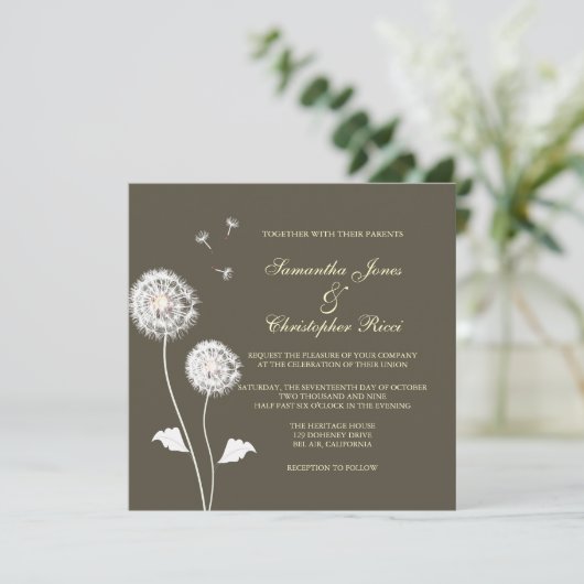 PixDezines Dandelions, diy achtergrondkleuren Kaart (Staand voorkant)