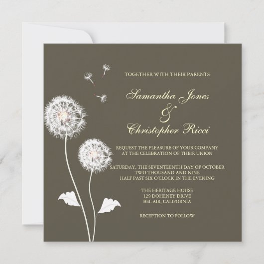 PixDezines Dandelions, diy achtergrondkleuren Kaart (Voorkant)