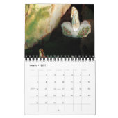 PixDezines de maagd Maria / verschijningen elk jaa Kalender (Mar 2027)