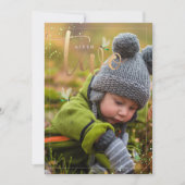 PixDezines die Natuur verkennen, libellen 2e Kaart (Voorkant)