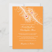 PixDezines doe-het-zelf kleuren, pauw pluimen op g Kaart (Achterkant)