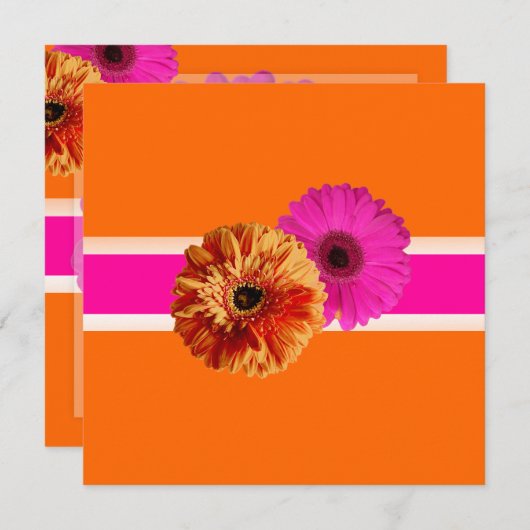 PixDezines Gerbera, orage+passion roze/diy kleuren Kaart (Voorkant / Achterkant)