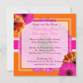 PixDezines Gerbera, orage+passion roze/diy kleuren Kaart (Achterkant)