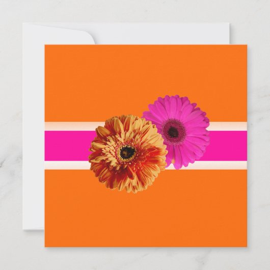PixDezines Gerbera, orage+passion roze/diy kleuren Kaart (Voorkant)