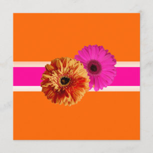 PixDezines Gerbera, oranj+passie roze/diy kleuren Kaart