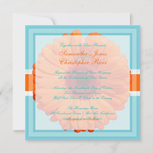 PixDezines Gerbera, oranje/diy achtergrondkleuren Kaart (Achterkant)