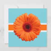 PixDezines Gerbera, oranje/diy achtergrondkleuren Kaart (Voorkant)
