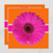 PixDezines Gerbera, roze/dij achtergrond/gebeurten Kaart (Voorkant / Achterkant)