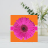 PixDezines Gerbera, roze/dij achtergrond/gebeurten Kaart (Staand voorkant)