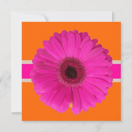 PixDezines Gerbera, roze/dij achtergrond/gebeurten Kaart (Voorkant)