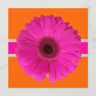 PixDezines Gerbera, roze/dij achtergrond/gebeurten Kaart