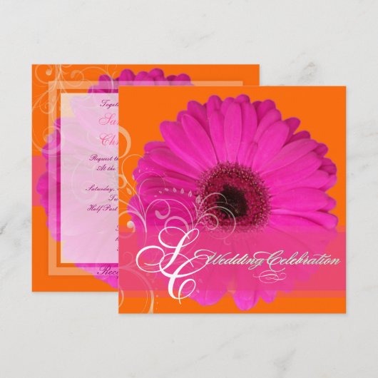 PixDezines Gerbera, roze/dij evenement! Kaart (Voorkant / Achterkant)
