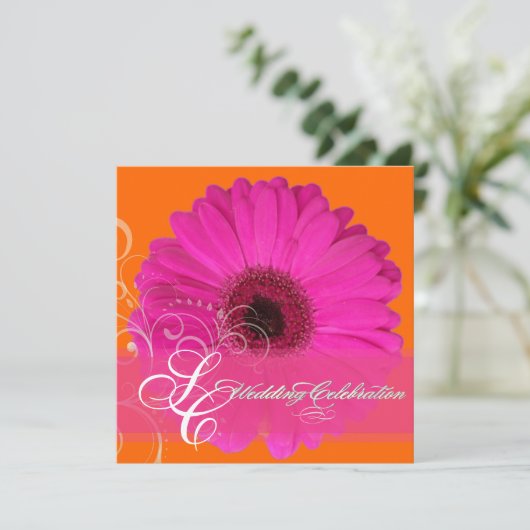 PixDezines Gerbera, roze/dij evenement! Kaart (Staand voorkant)