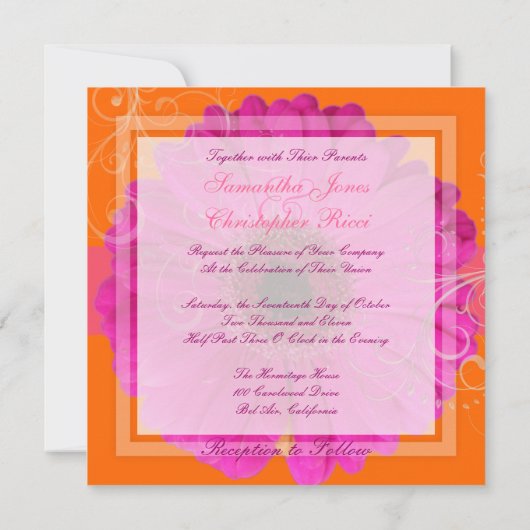 PixDezines Gerbera, roze/dij evenement! Kaart (Achterkant)