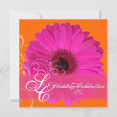 PixDezines Gerbera, roze/dij evenement! Kaart (Voorkant)
