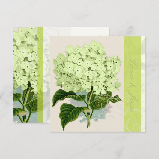 PixDezines groene hydrangea Kaart (Voorkant / Achterkant)