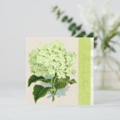PixDezines groene hydrangea Kaart (Staand voorkant)