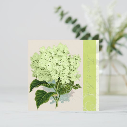 PixDezines  groene hydrangea Kaart (Staand voorkant)