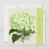 PixDezines groene hydrangea Kaart (Voorkant)