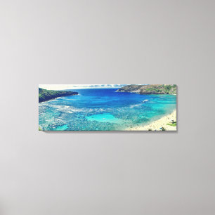 PixDezines hanauma baai Canvas Afdruk