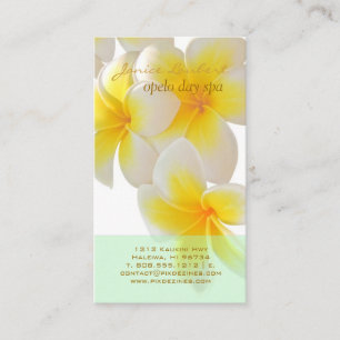 PixDezines Hawaii Plumeria/DIY fonts+color Visitekaartje