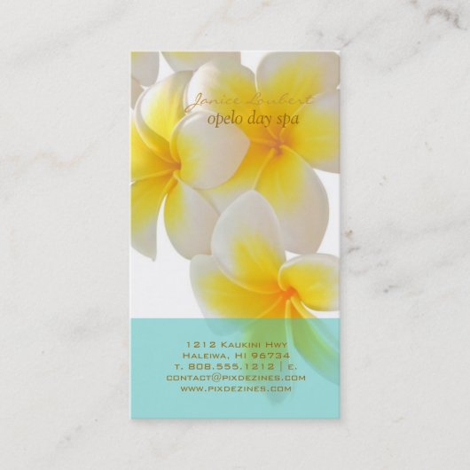 PixDezines Hawaii Plumeria Visitekaartje (Voorkant)