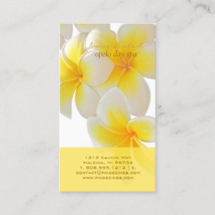 PixDezines Hawaii Plumeria Visitekaartje