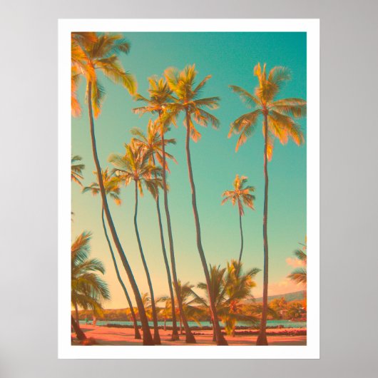 PixDezines  hawaiian strand/honaunau Poster (Voorkant)