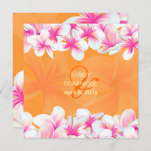 PixDezines hot roze plumeria/DIY achtergrondkleur Kaart
