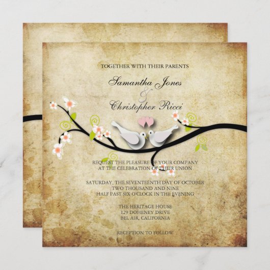 PixDezines houden van duven/diy achtergrondkleur Kaart (Voorkant / Achterkant)