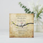 PixDezines houden van duven/diy achtergrondkleur Kaart (Staand voorkant)