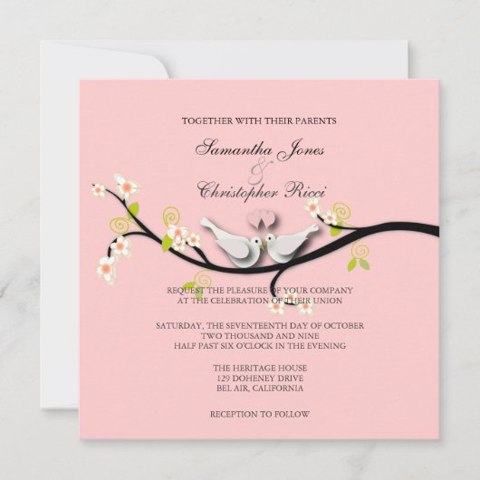 PixDezines houden van duven/diy achtergrondkleur Kaart (Voorkant)