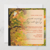 PixDezines in Bossen 2, de diy gebeurtenissen van Kaart (Achterkant)