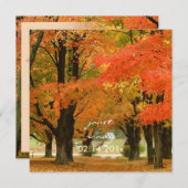 PixDezines in de bossen, valbruiloften/DIY-gebeurt Kaart (Voorkant / Achterkant)