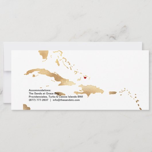 PixDezines instapass Save Datum, Caribische kaart (Achterkant)