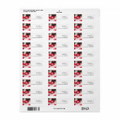 PixDezines Mitzvah Waterverf Swatches Rood + Zwart Etiket (Full Sheet)