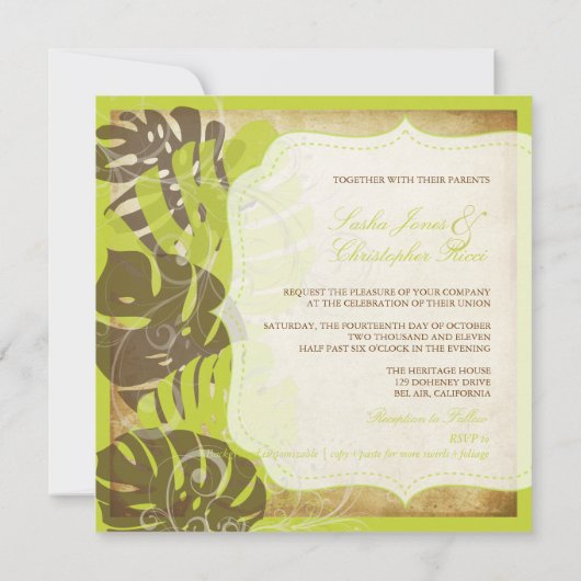 PixDezines  monstera+swirls/dij achtergrond Kaart (Achterkant)