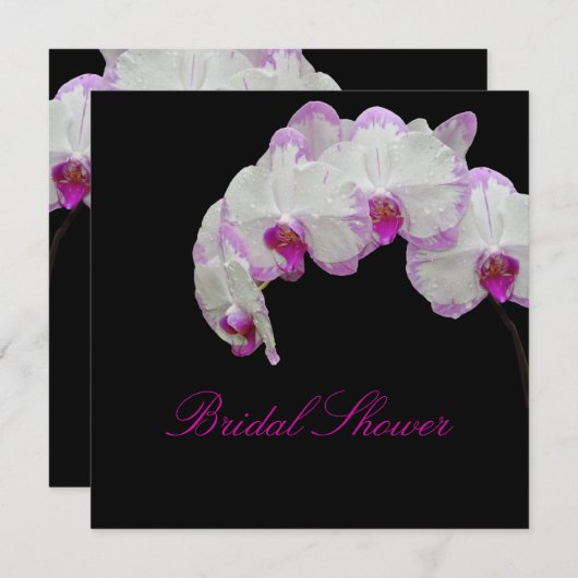 PixDezines moth orchids/fuschia Kaart (Voorkant / Achterkant)