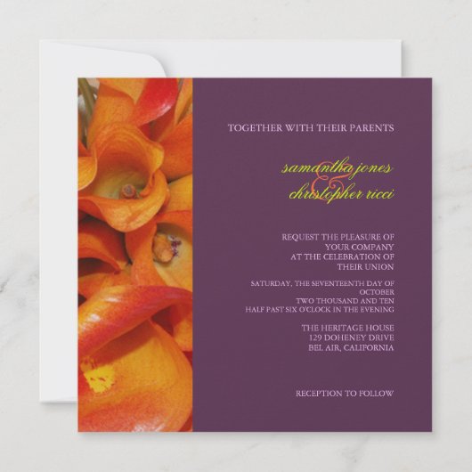 PixDezines ORANJE CALLA LILY/LUXE PEARL PAPIER Kaart (Achterkant)