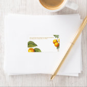 PixDezines Orchard/Peaches/Redoute Etiket (Insitu)