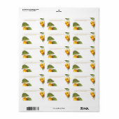 PixDezines Orchard/Peaches/Redoute Etiket (Full Sheet)